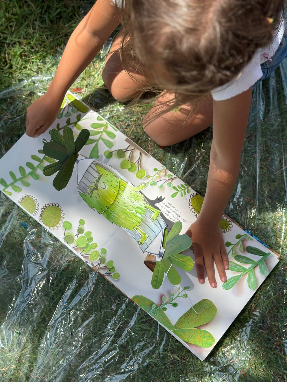 Livro - O Monstro das Cores