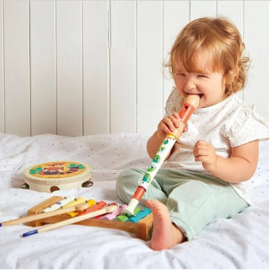 Conjunto Musical Gioia - 4 Instrumentos Musicais Infantis