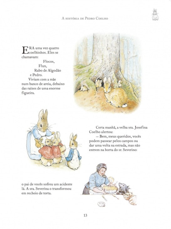 Livro - As aventuras de Pedro Coelho