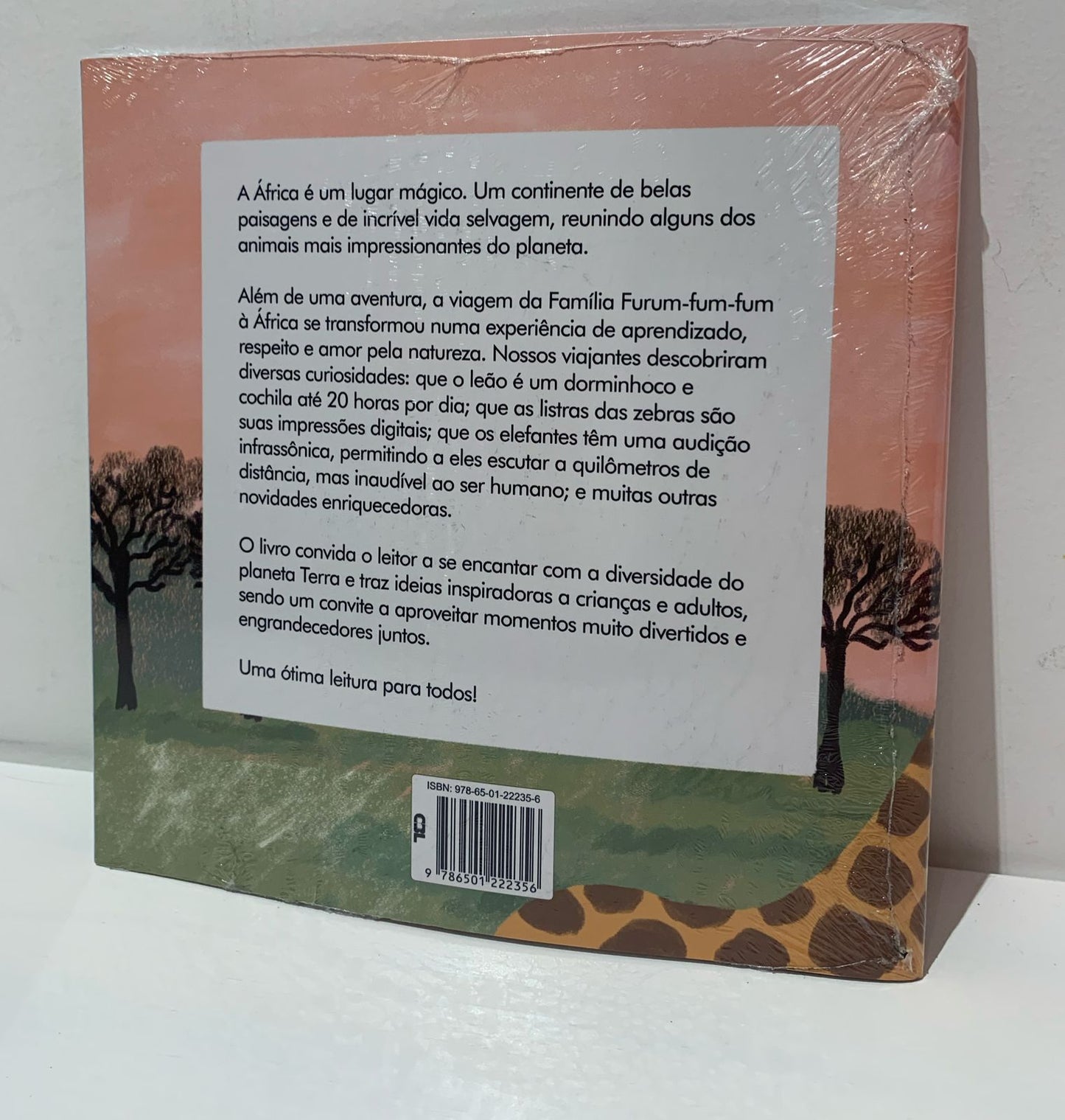 Livro: A Família Furum-fum-fum Vai à África