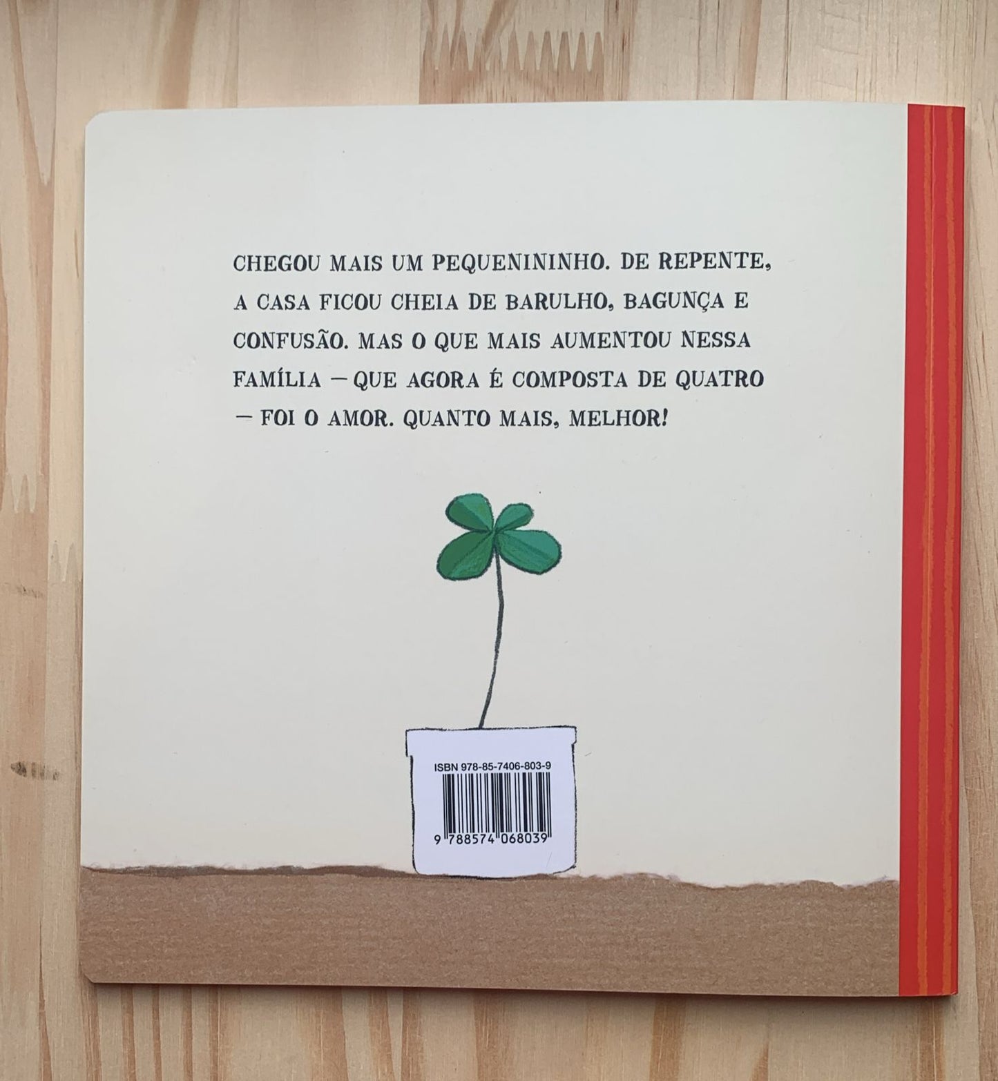 Livro - Nós agora somos quatro