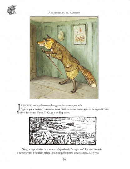 Livro - As aventuras de Pedro Coelho