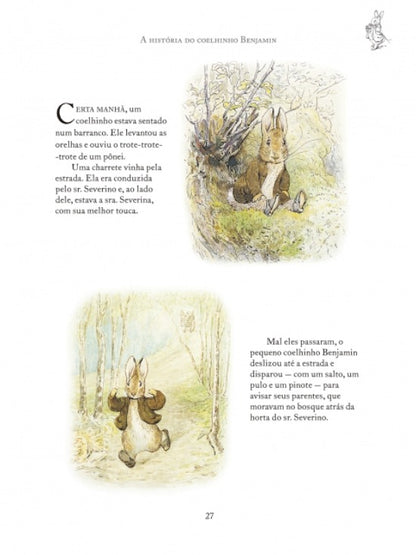 Livro - As aventuras de Pedro Coelho