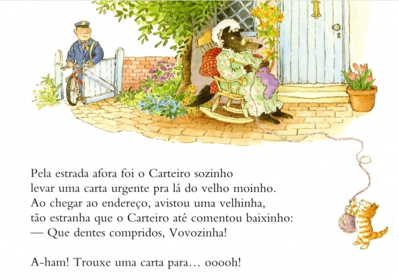 Livro - O carteiro chegou