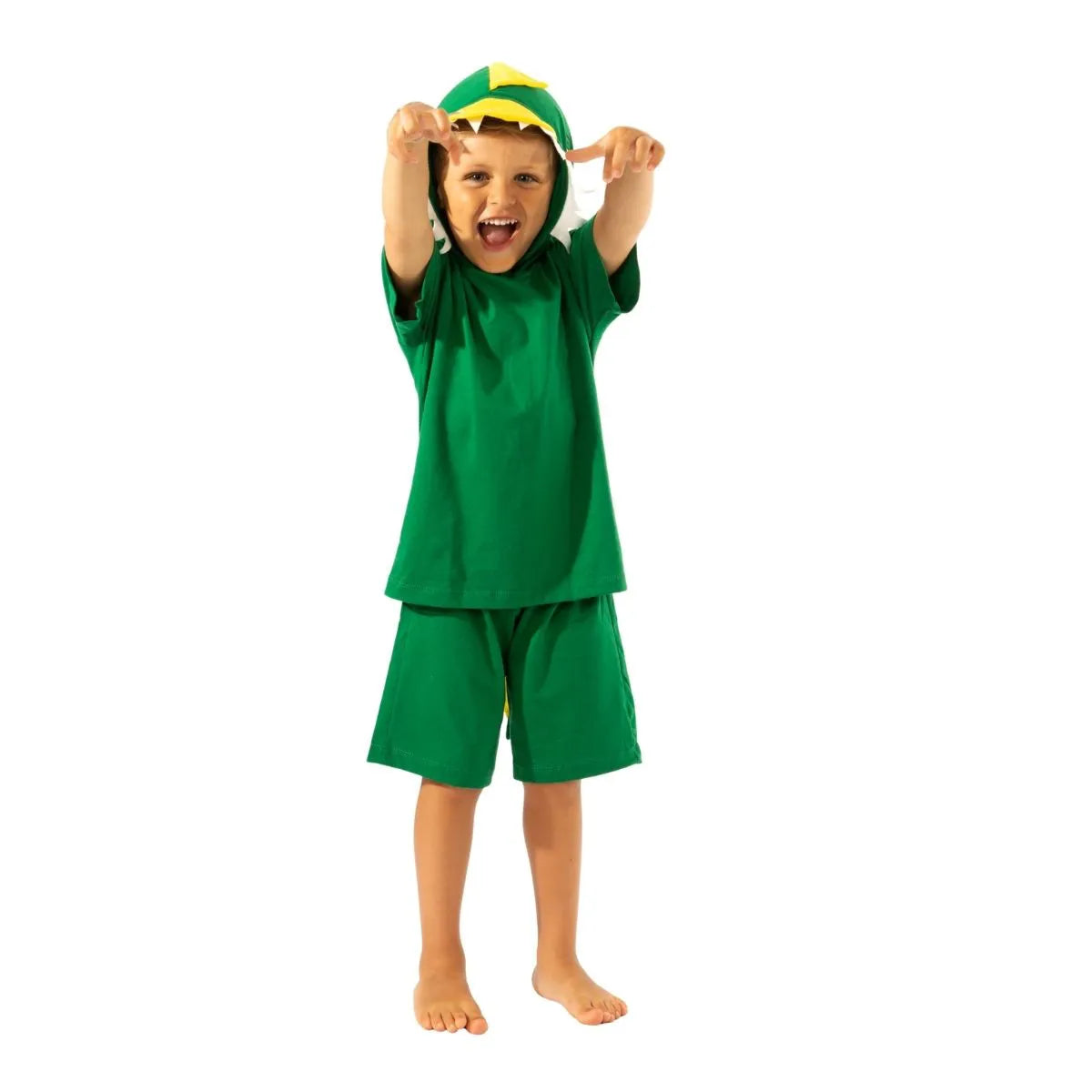 Pijama e Fantasia Dinossauro