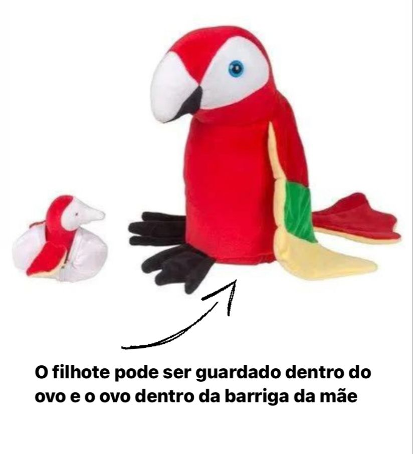 Arara Vermelha Grávida com 1 Filhote