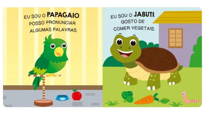 Livro - Animais de estimacao