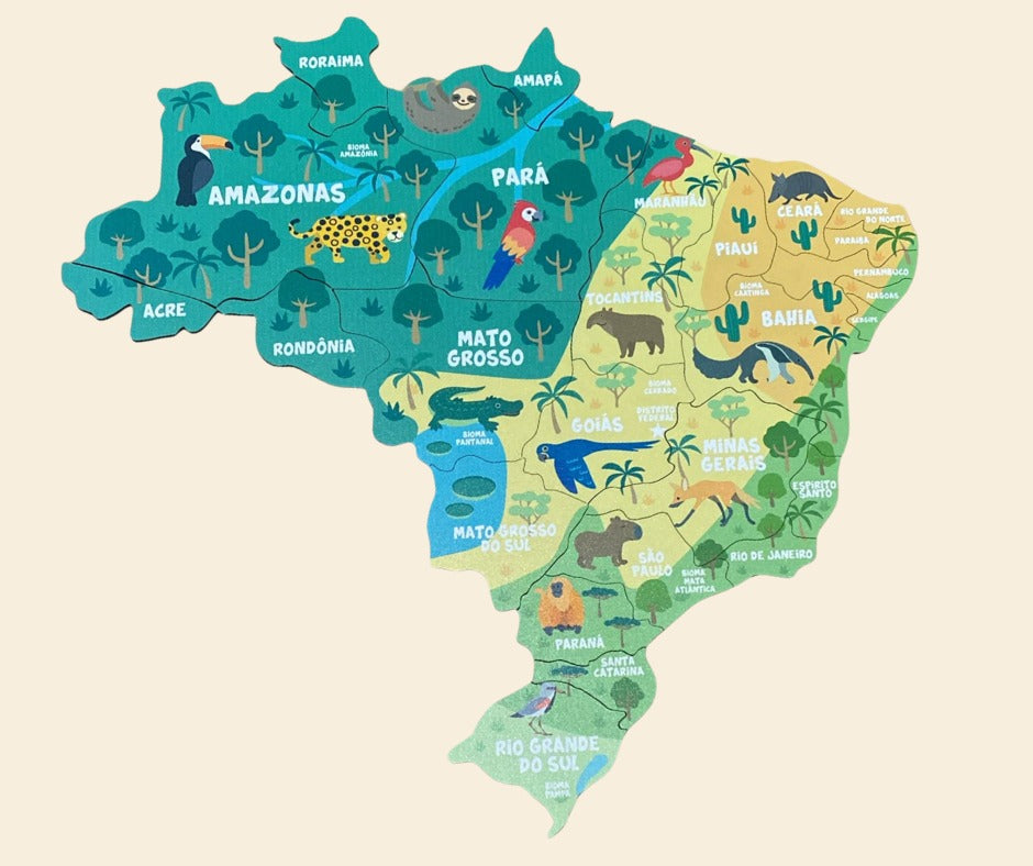 Mapa Brasil - Regiões, Estados e Capitais