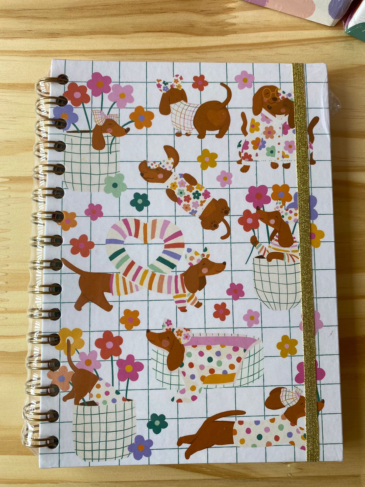 Kit Papelaria Cachorrinho Jardim Caderninho  com Porta Lápis e Porta Clips
