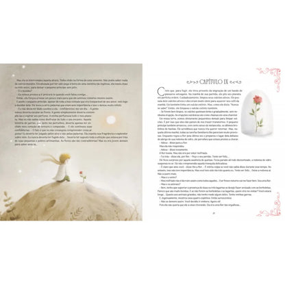 Livro - O Pequeno Principe