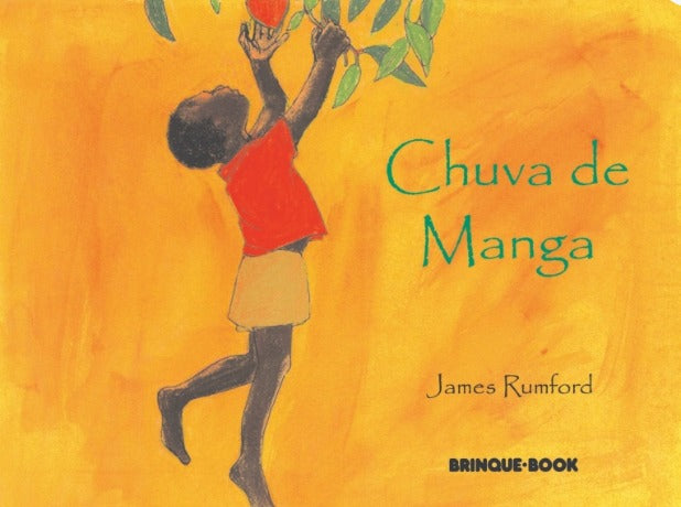 Livro - Chuva de manga