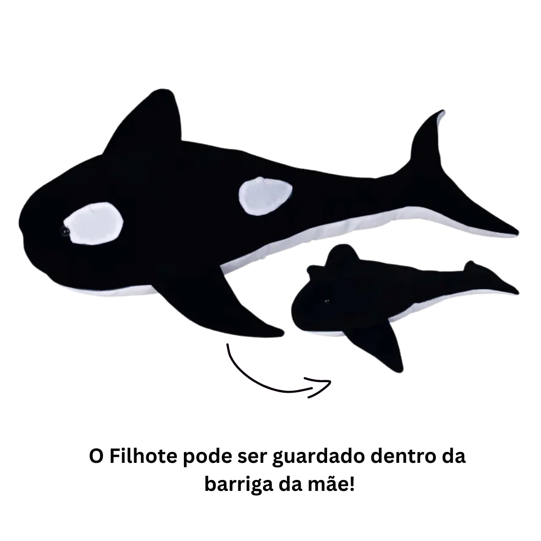 Orca Grávida com 1 Filhote