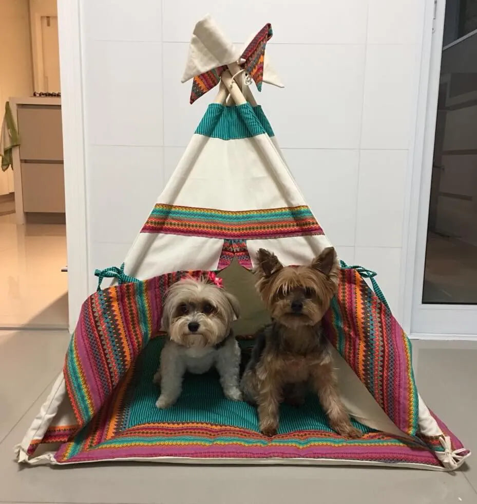 Cabana Premium Apache para Pet