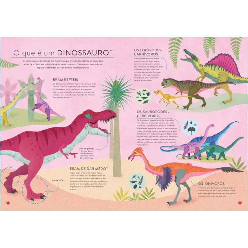 Livro - O mundo dos dinossauros