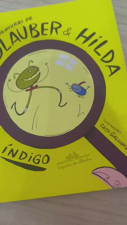 Livro - As aventuras de Glauber e Hilda