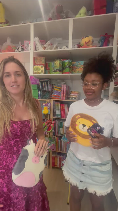 Livro - O leãozinho corajoso