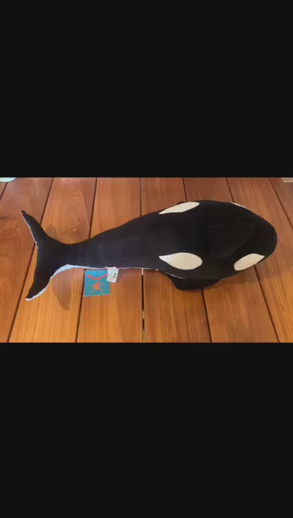 Orca Grávida com 1 Filhote