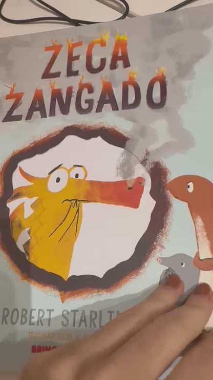 Livro - Zeca zangado