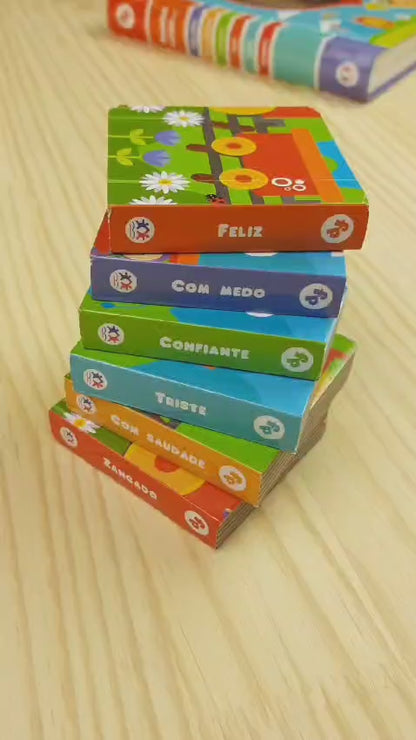 Livro Box - Primeiros Conceitos